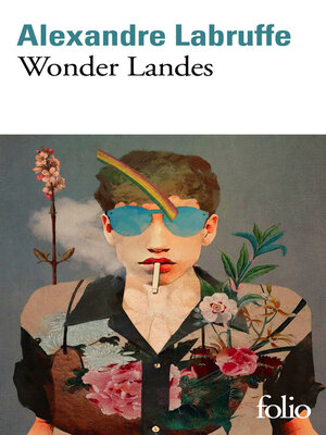 cover image of Wonder Landes